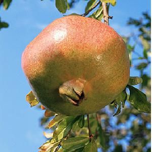 �����۾� ʱ��Ȧ����������