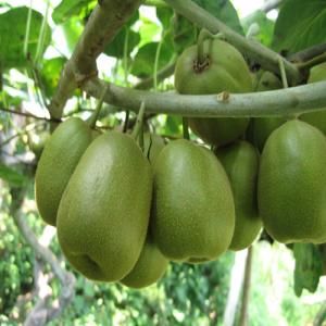 �����۾� ʱ��Ȧ����������