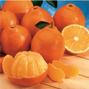 �����۾� ʱ��Ȧ����������